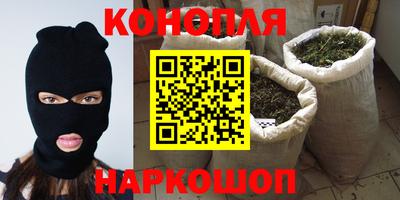 mdpv Заводоуковск