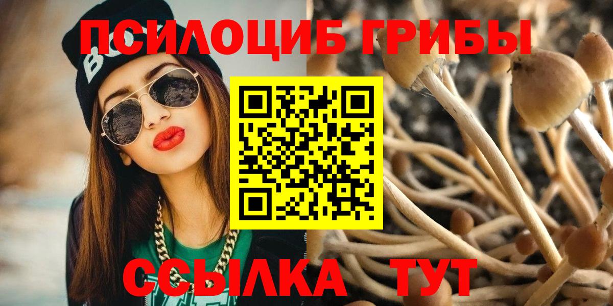 Галлюциногенные грибы MAGIC MUSHROOMS  Вход с VPN  Лосино-Петровский 