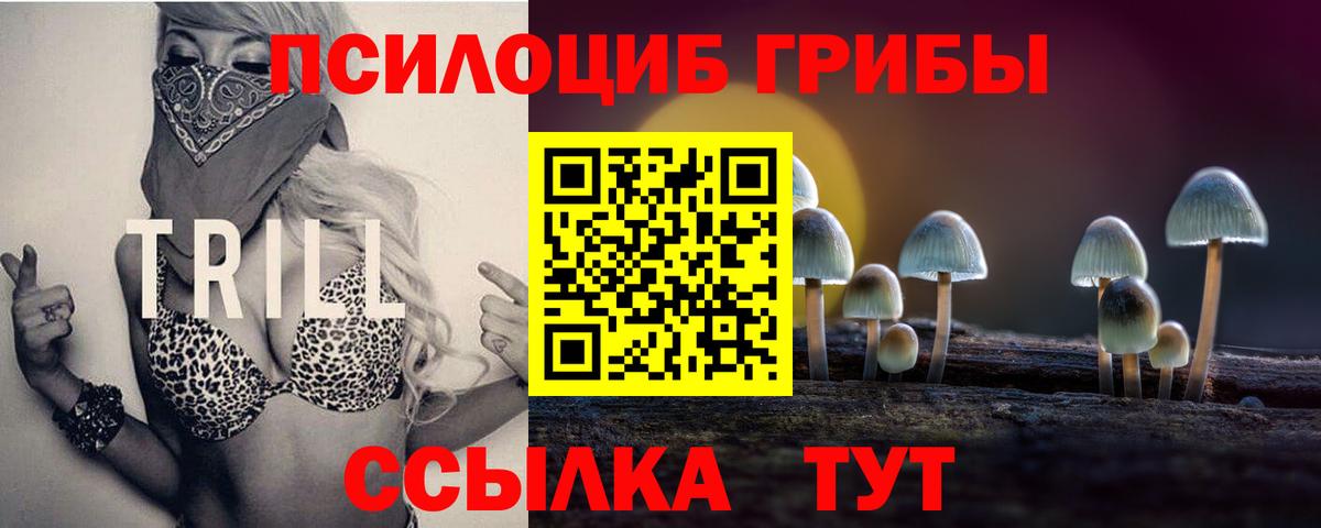 Галлюциногенные грибы Psilocybine cubensis Лосино-Петровский